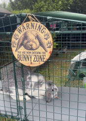 You are now entering the bunny zone!