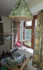 Twin pole cat tree with bed, hammock, tent, and scratcher