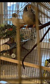 Great quality, fast shipping! 