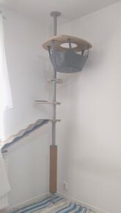 The indoor freestyle cat tree set up with various accessories.