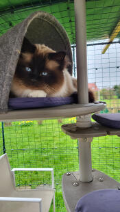 Well protected from the rain in my paddock