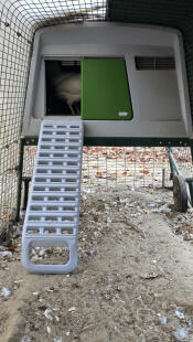 Buy This Ladder!  You Won't Regret It!