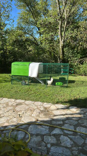 Goodbye old chicken coop!