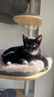 Willow enjoying the sunshine