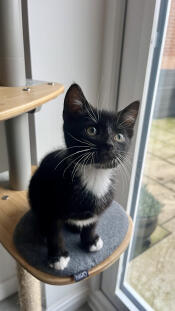 Willow’s a big girl now! 