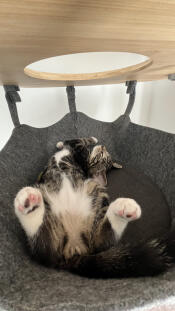 Fast asleep