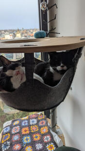 The most converted spot in the flat!