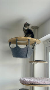 High up on my platform