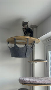 Keeping an eye on things 