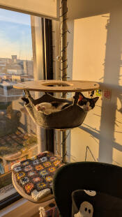 Warm sunshine bliss!