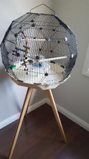 Si spacieux et si beau.