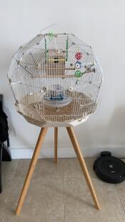 Great cage