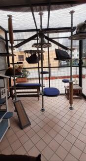 The outdoor freestyle cat tree set up with various accessories.