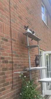 Great products and customer service