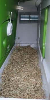 Binnen Omlet groen Eglu Cube groot kippenhok
