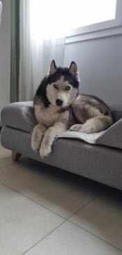 Delighted with the basket 