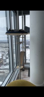 A grey cat lying on a platform on the cat tree next to a window.