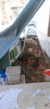 New cube with existing go up.