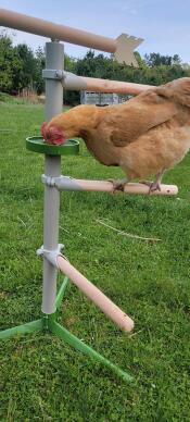 Hält es vom boden ab! hentertaining! 