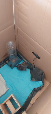 My chick in her brooder after a clean