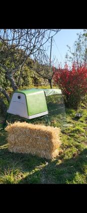 Impossible to regret your purchase