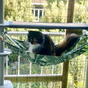 Titta på fåglar från hängmattan på balkongen