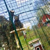 Less than the description claims