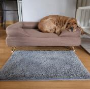 Bästa hundbädden nåGonsin!