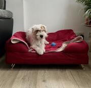 Fantastisk säng, utmärkt kvalitet och kundservice 