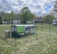 Lätt att sätta upp, hönorna älskar det extra utrymmet!