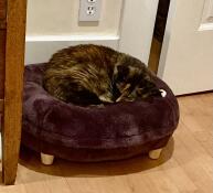 A picture is worth a thousand words