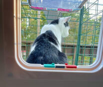 égaré nos puissantes pinces