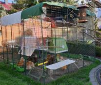 A chicken enclosure surrounded by covers