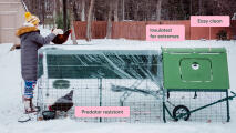 winter features for eglu cube insulated chicken coop