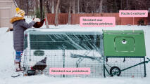 Caractéristiques hivernales du poulailler isolé « Eglu » Cube 