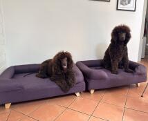 Bra kvalitet, fantastisk färg! 