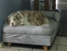 Its a very comfy bed