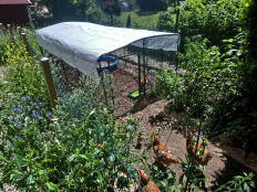 Top chicken enclosure 