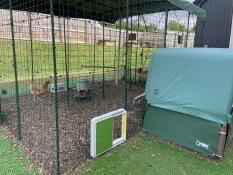 Porte automatique pour cage