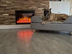 A dog resting on his grey bed with bolster topper