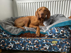 Ginger in de camo past bij mijn ginger ninja