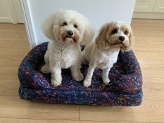 Härligt nytt färgstarkt omslag