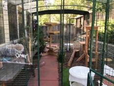Garden  vacation time enclosure