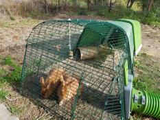 Excellente fonctionnalité 