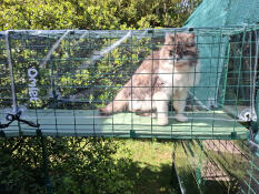 Auch eine gute abdeckung für einen katzentunnel