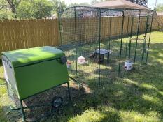 The Eglu Cube attached to a walk in chicken run using the conversion kit.