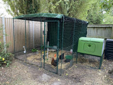 Connection kit for walk in run - Eglu Cube mk2