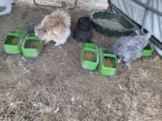 Semplicemente geniale come distributore di cibo