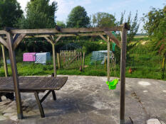 The new ultimate ladder for Eglu Cube