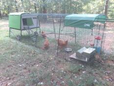 Love that they are safe